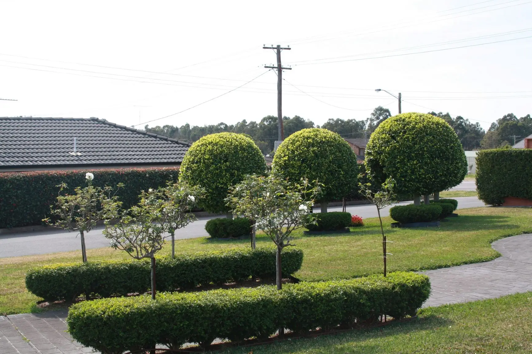 The leafy garden at the motel